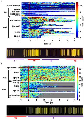 Electrophysiological responses to appetitive and consummatory behavior in the rostral nucleus tractus solitarius in awake, unrestrained rats